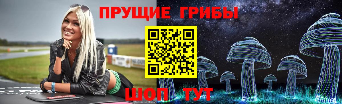 Кисловодск  Псилоцибиновые грибы мухоморы  Вход с VPN 